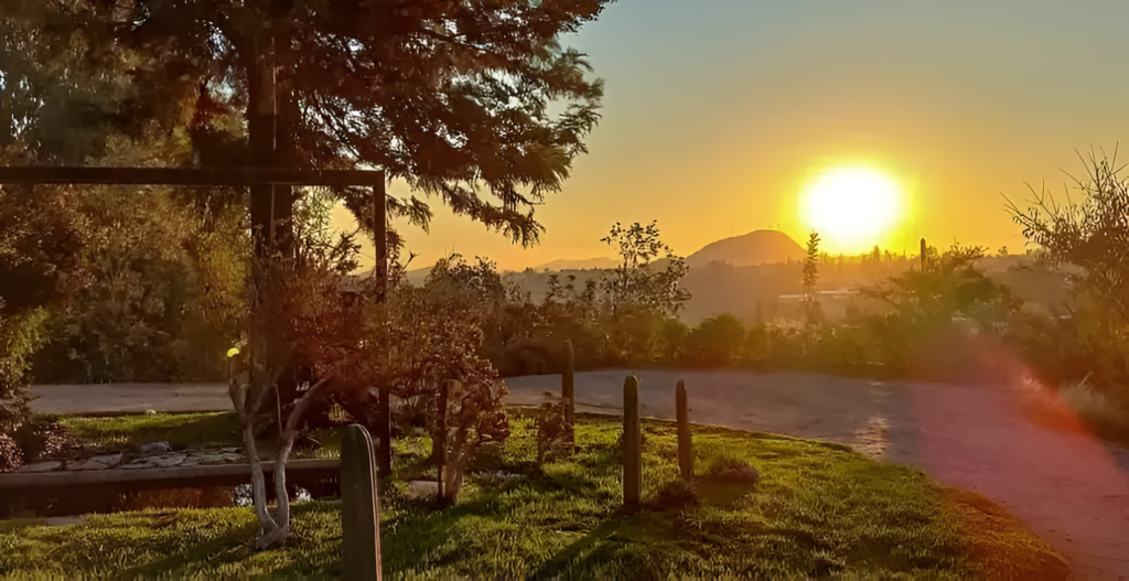 atardecer sobre los viñedos en alto de pirque